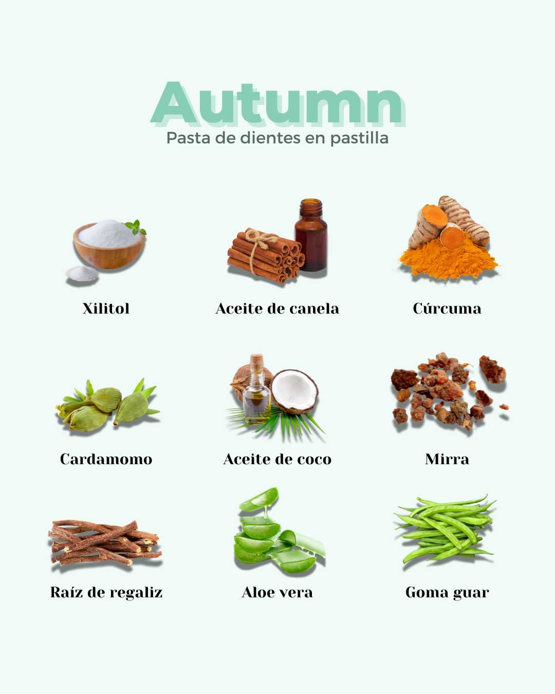 Refill Pasta de Dientes en Pastilla ECO AUTUMN