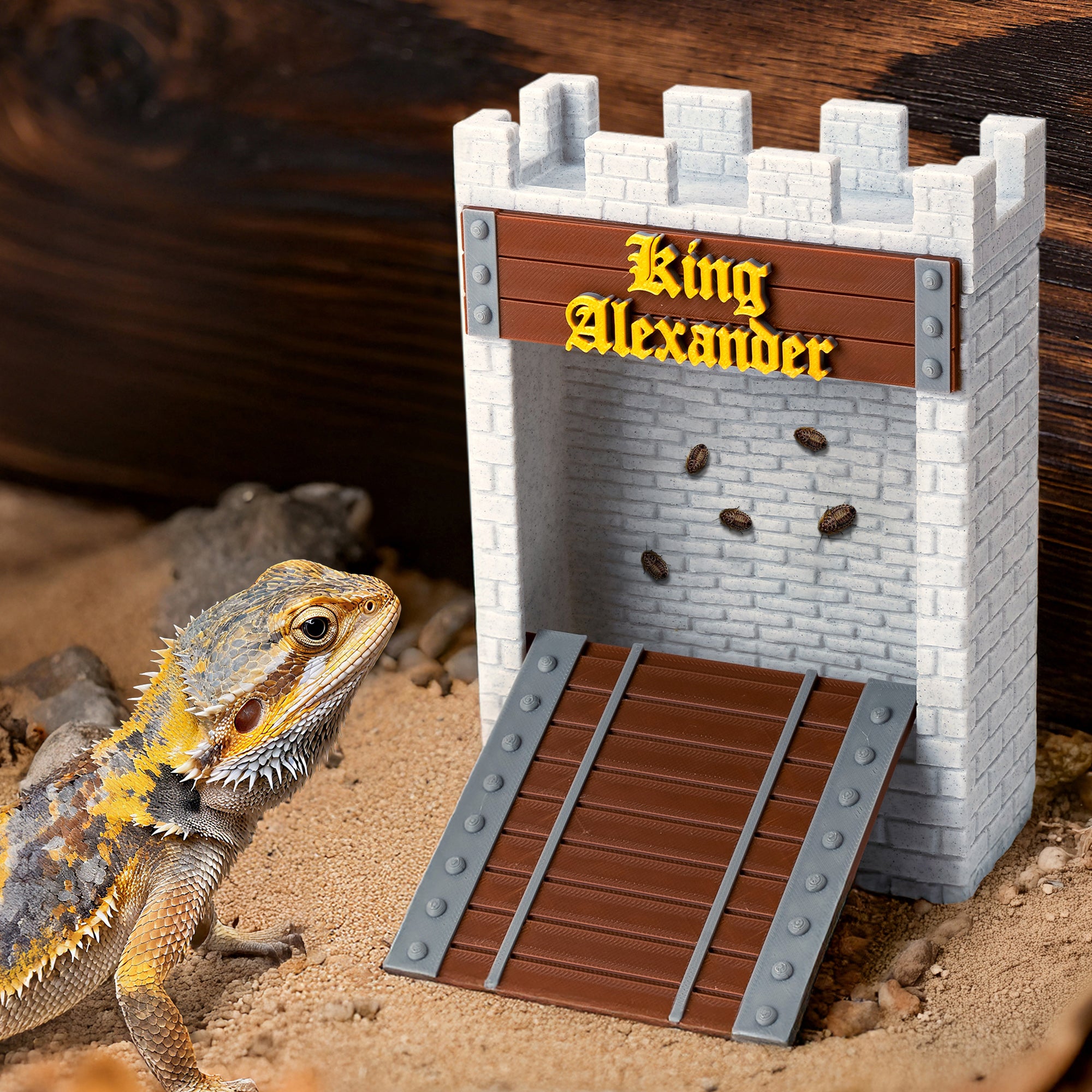 Personalizado 3D Impreso Castillo de Piedra Puente de Pared Caja Comedero con Texto Hábitat de Reptiles Adopción Regalo de Aniversario para los Propietarios de Reptiles Lagarto