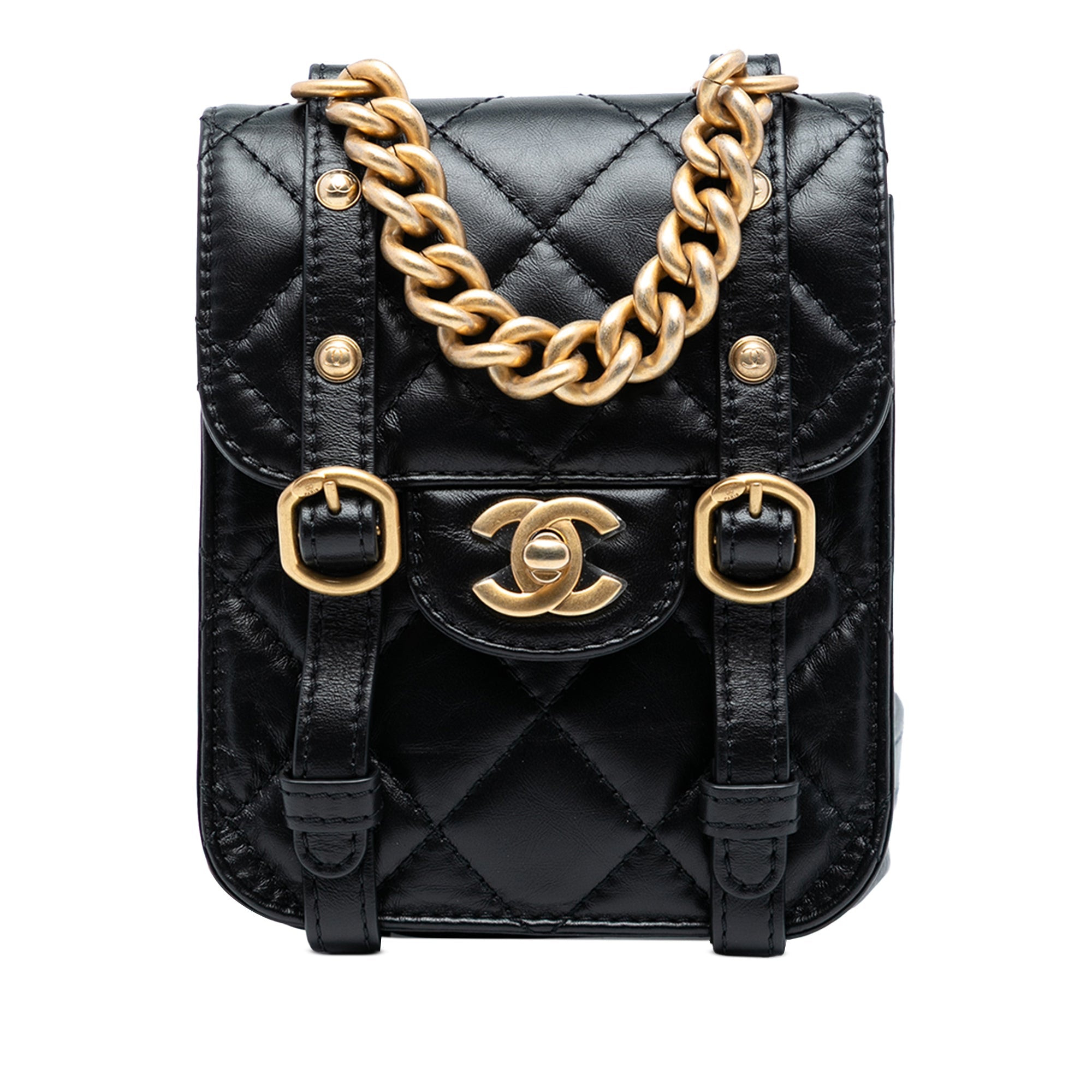 Mini Aged Calfskin City School Flap