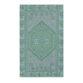 Mint Green Southwestern Medallion Accent Rug