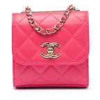 Mini Quilted Lambskin Trendy CC Clutch With Chain