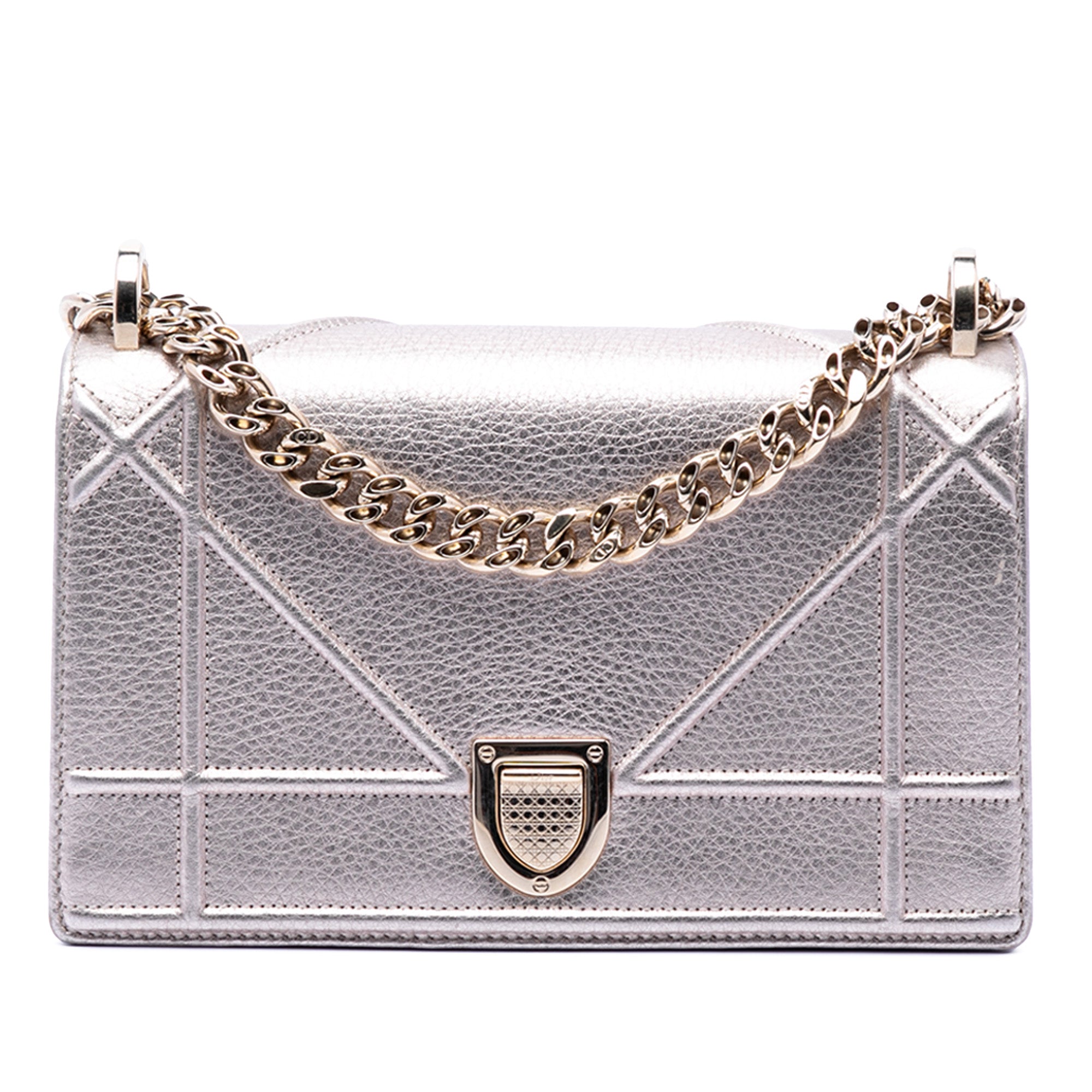 Small Metallic Grained Calfskin Diorama Flap