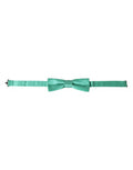 Mint Green Silk Adjustable Neck Men Bow Tie