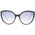 Brown Plastic Sunglasses