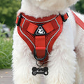 Hueso de corazón personalizado Señalización de malla Arnés de pecho para mascotas con nombre y cuerda de tracción Actividades al aire libre Regalo de cumpleaños para dueños de mascotas
