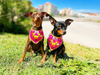 Crochet Dog Bandana - Hot Pink