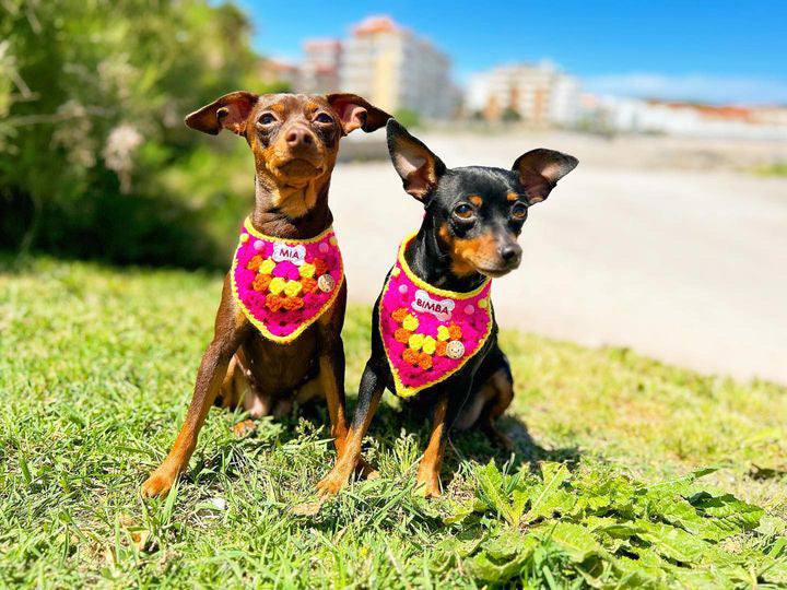 Crochet Dog Bandana - Hot Pink
