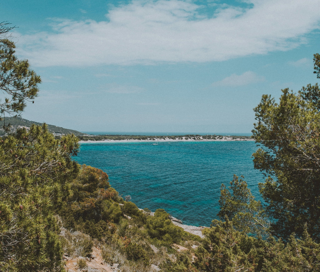Las Salinas (Ses Salines)