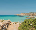 Cala Tarida