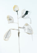 My Secret Garden No.III | Painting