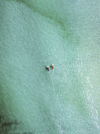 Day 3: Paddle Boarding Adventure