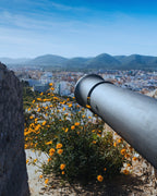 Dalt Vila