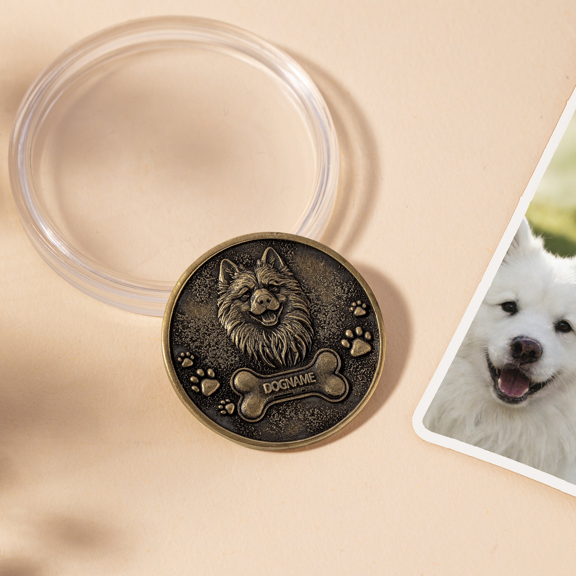 Moneda conmemorativa retro con nombre y estuche transparente para regalo de recordatorio de mascota para dueño de mascota amante de mascotas