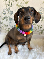 Personalised Pom Pom Dog Collar - Rainbow Brights 2cm Balls