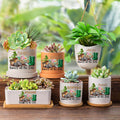 Maceta de cerámica personalizada con nombre floral Know All the Dirt con agujero de drenaje y base de madera Decoración del hogar Regalo del Día de la Madre para mamá Abuela