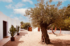 Beachfront Ibiza Villa Hideaway in Es Cubells