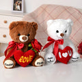 Personalizado Te Quiero Corazón Rojo Lazo Rosa Peluche Oso con Textos Aniversario San Valentín Cumpleaños Regalo para Pareja