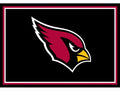 Imperial USA Officially Licensed NFL 3x4 Area Rugs