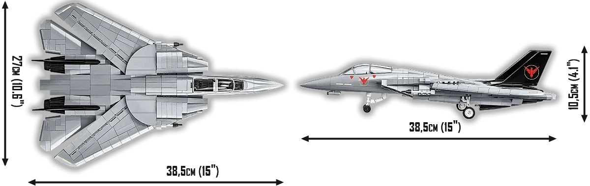 Grumman F-14 Tomcat™