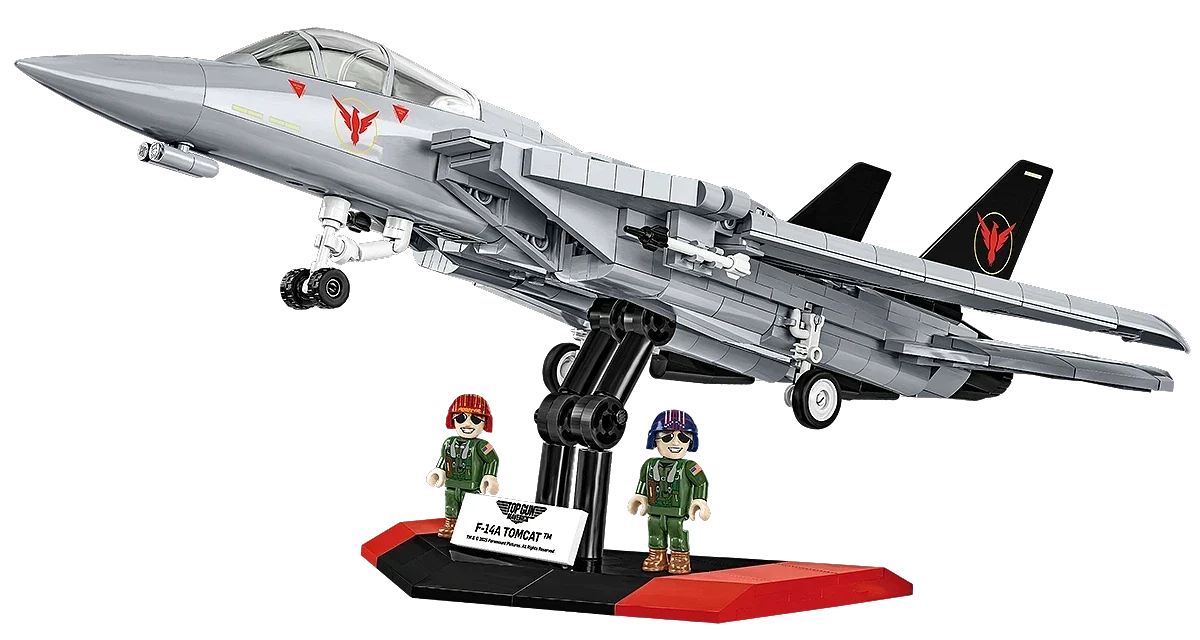 Grumman F-14 Tomcat™