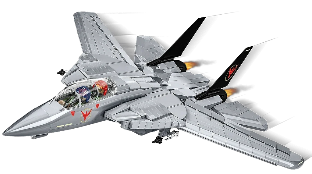 Grumman F-14 Tomcat™