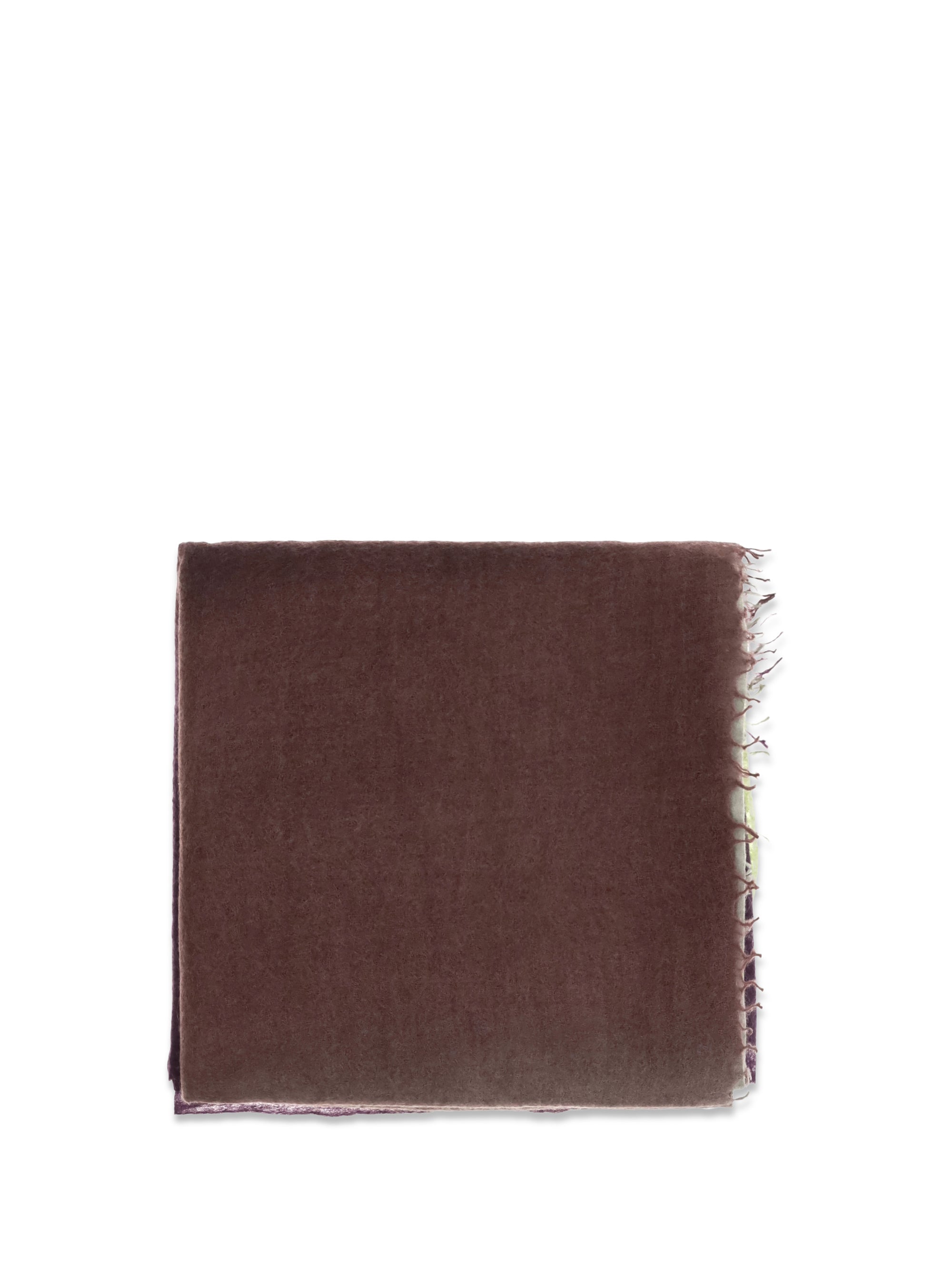 Mirror In The Sky Semi-Felted Degradé Cashmere Scarf — Brown