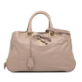 Vitello Bow Satchel