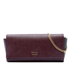 Saffiano and City Calf Bibliotheque Clutch with Chain