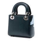 Mini Deerskin Floral Print Lady Dior