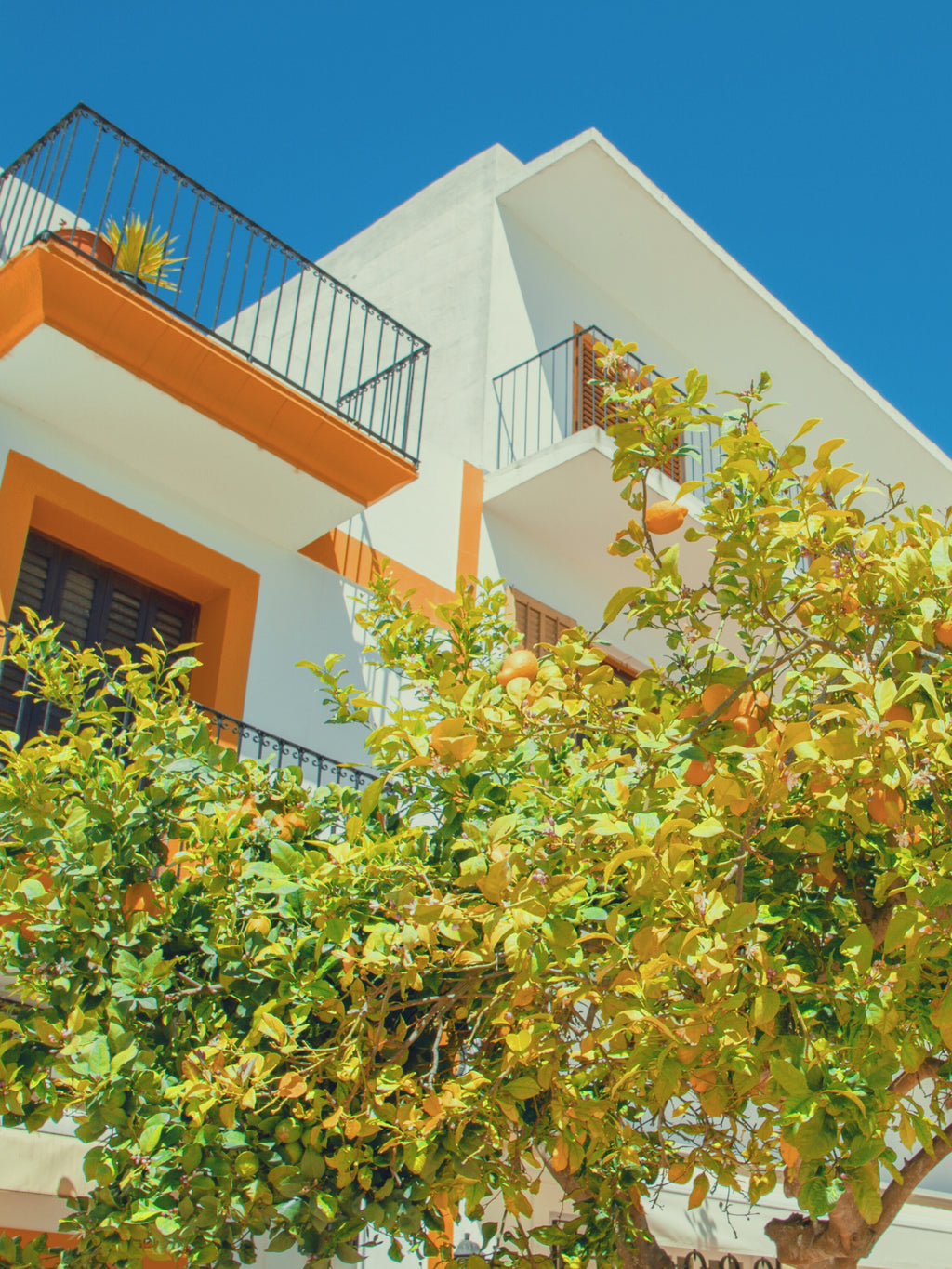 Day 4: Full-Day Stroll in Santa Gertrudis