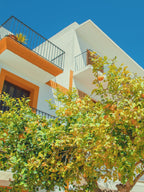 Day 4: Full-Day Stroll in Santa Gertrudis