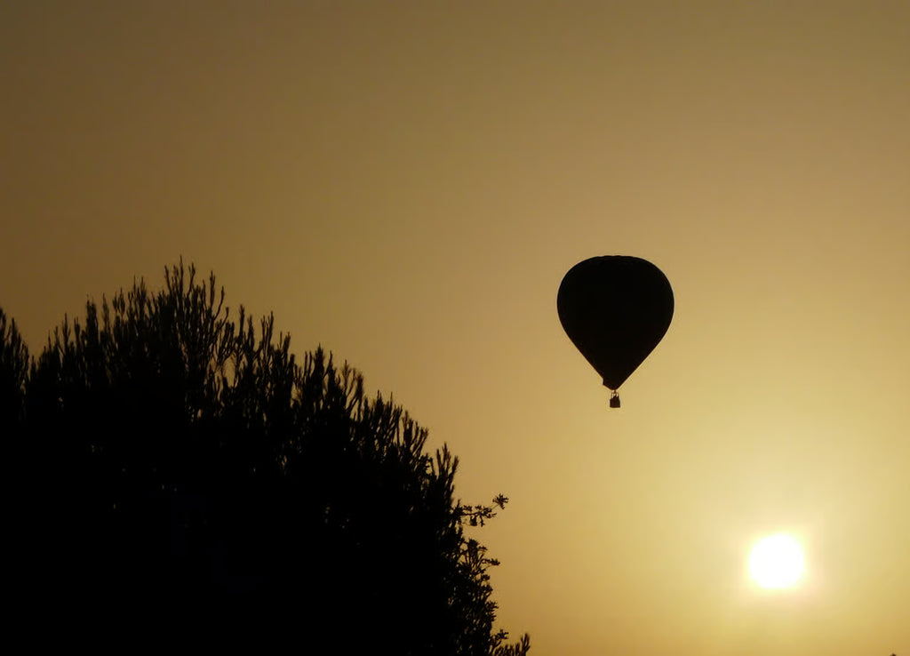 Hot Air Balloon Ride
