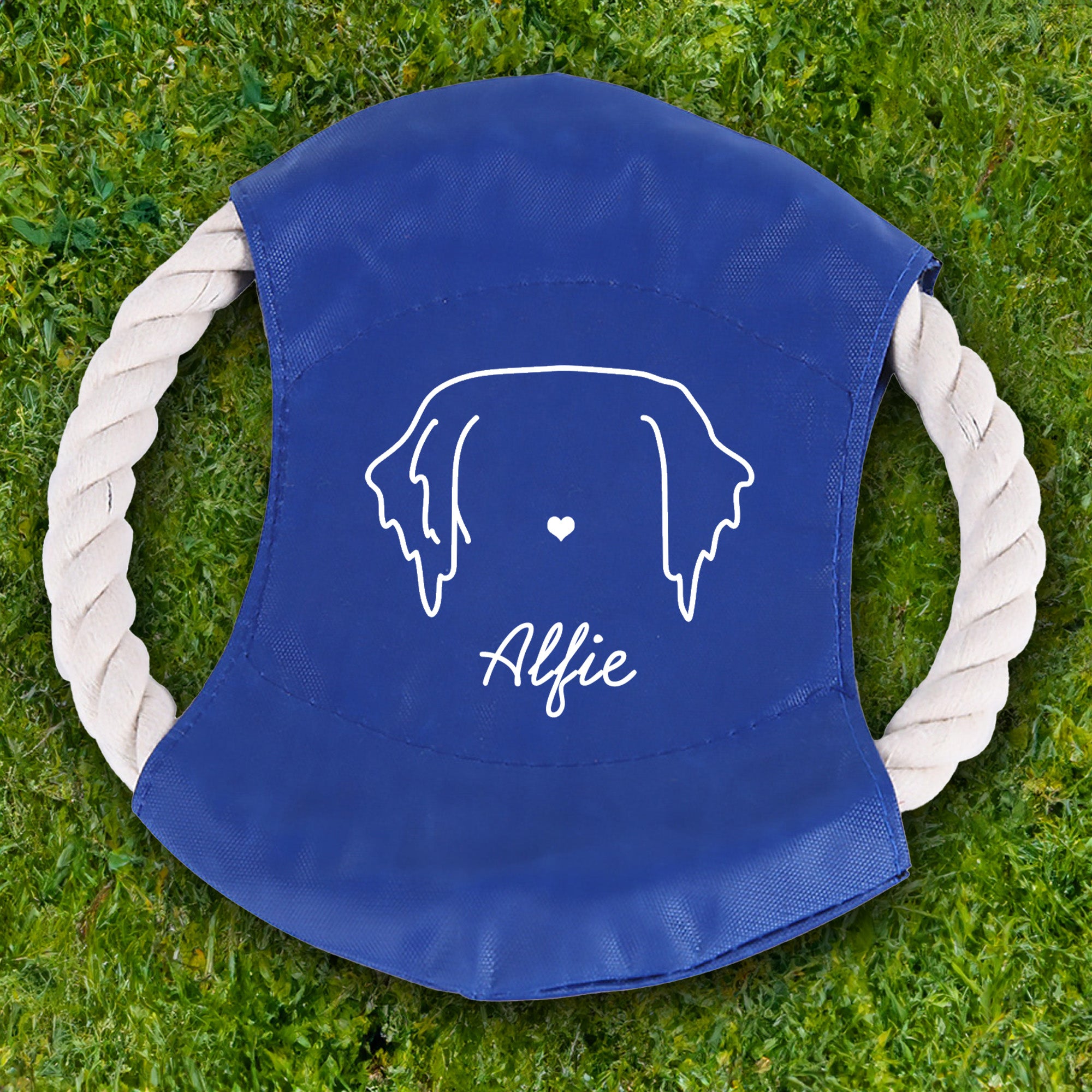 Personalizado Cute Line Style Dog Multicolor Impermeable Dog Flying Disc con Nombre Juguete para perro al aire libre Regalo de cumpleaños para los dueños de mascotas