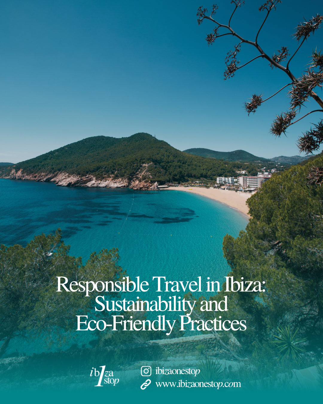 Responsible Travel in Ibiza: Sustainability and Eco-Friendly Practices