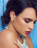 Pendientes Trepadores Wings