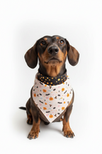 Pañuelo para perro de Halloween - Con lazo