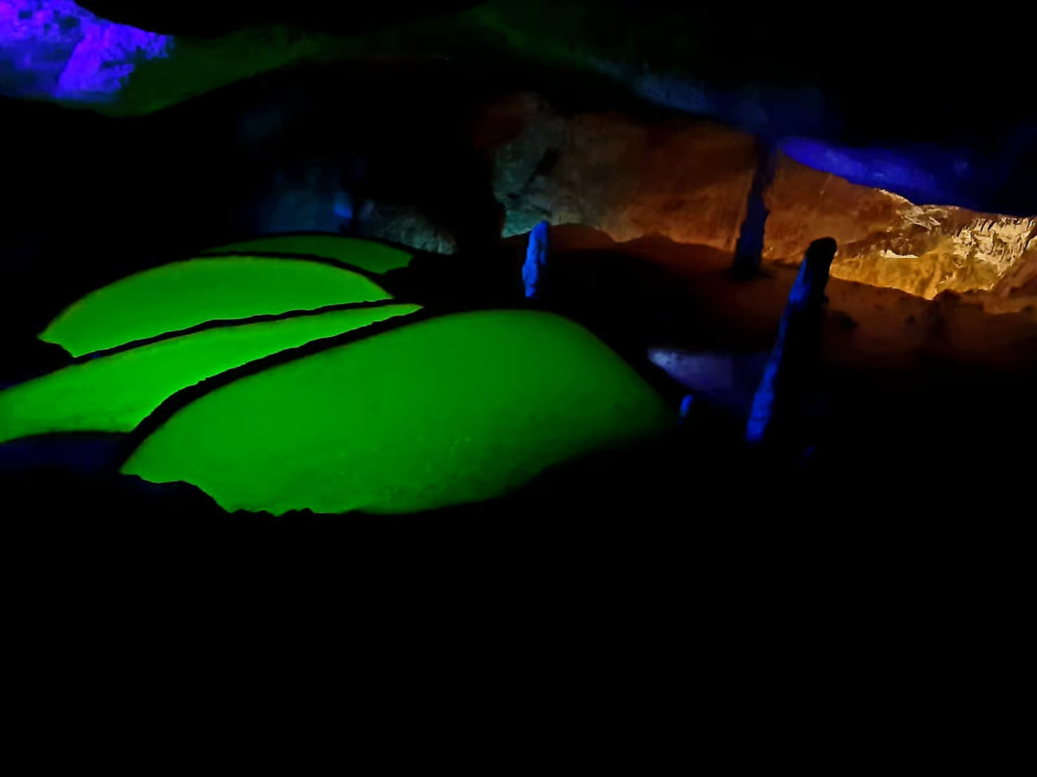 Can Marçá Cave Guided Tour in Puerto de San Miguel