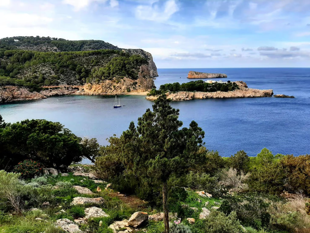 Can Marçá Cave Guided Tour in Puerto de San Miguel