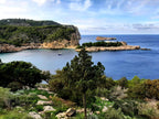 Can Marçá Cave Guided Tour in Puerto de San Miguel