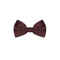 Men's Burgundy Silk Bowtie Accessory