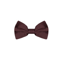 Men's Burgundy Silk Bowtie Accessory