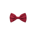 Men's Red Silk Bowtie Accessory
