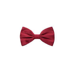 Men's Red Silk Bowtie Accessory