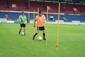 Pica Slalom