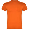 Camiseta de manga corta y cuello redondo de 4 capas Vetonek
