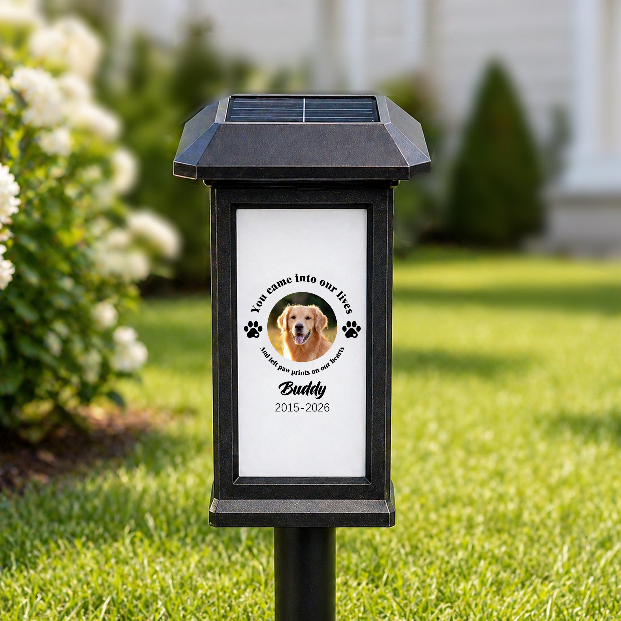 Lámpara solar de jardín personalizada con foto de mascota y huella con nombre y fecha Regalo conmemorativo para dueños de mascotas