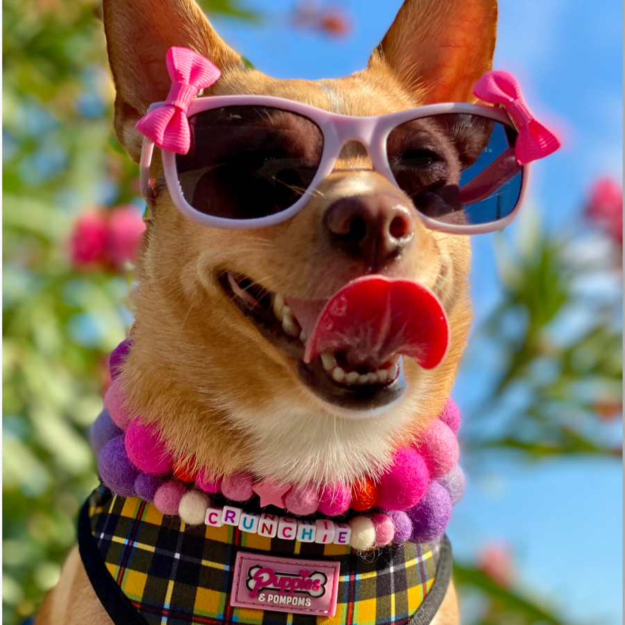 Pink - Personalised Pom Pom Dog Collar