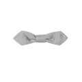 Men's Gray Silk Bowtie Accessory