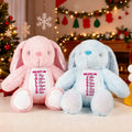 Personalizado Dios Dice Biblia Peluche Conejo Conejo Juguete con Nombre y Letras Navidad Cumpleaños Regalo para Niños