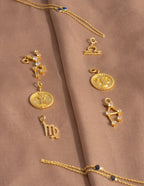 Charm Zodiaco Acuario